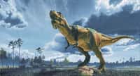  Un Tyrannosaurus rex peint par John Gurche. Du haut de cette reconstitution, des décennies de recherches paléontologiques nous contemplent... © The Field Museum