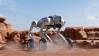 Le robot-chien peut aussi bien rouler que marcher. © Unitree