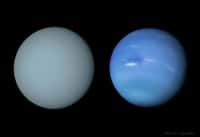 Uranus est visible à gauche et Neptune à droite sur ces photos prises&nbsp;par une sonde Voyager. © Nasa