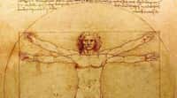 Léonard de Vinci représente souvent l'archétype de l'unité de la science et de l'art. Il a étudié les mathématiques avec Luca Pacioli. On pense qu’il est l’auteur des superbes représentations de polyèdres illustrant l’ouvrage&nbsp;De divina proportione (la divine proportion), que celui-ci a consacré au nombre d’or et à des éléments d'architecture s'inspirant des règles énoncées par Vitruve. Léonard sera d’ailleurs l’auteur d’un fameux dessin, intitulé&nbsp;Étude des proportions du corps humain selon Vitruve. Si Léonard lui-même n’était pas un mathématicien, son intérêt pour le sujet est évident, comme le prouve d’ailleurs une de ses pensées notées dans ses carnets :&nbsp;« Aucune certitude n'est possible si l'on ne peut y appliquer une des sciences mathématiques ou qui ne soit unie aux mathématiques ». © Luc Viatour