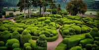 Visiter un parc ou un jardin. © guillaume3176, Adobe Stock