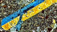 Dans cette image en lumière polarisée, on observe au microscope un échantillon de lave provenant des Bermudes. Les cristaux bleus et jaunes sont constitués d'augite de titane, entourés d'une masse de minéraux, qui comprend feldspaths, phlogopite, spinelle, pérovskite et de l'apatite. Cet assemblage suggère que la source du manteau qui a produit cette lave était riche en eau. © Gazel Lab