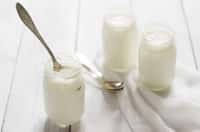 Dans les produits laitiers, comme les yaourts, des bactéries réalisent la fermentation lactique. © Janna, Fotolia