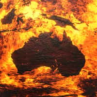 Depuis le mois de septembre, les incendies en Australie ont d'ores et déjà calciné six millions d'hectares. © Dimiter, Adobe Stock