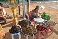 Au Cambodge, la consommation d'insectes et autres petites bêtes est courante. Chez cette commerçante, on peut faire le plein d'araignées, blattes et sauterelles. © louis.foecy.fr, Flickr, cc by 2.0