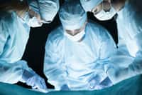 Depuis 2010, seuls 300 patients dans le monde ont pu bénéficier d’une transplantation rénale robot-assistée. © Dutko, Istock.com