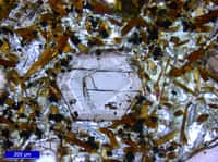 Les pétrographes étudient les cristaux (au centre) dans les roches magmatiques trouvées en surface. De nos jours, grâce au laser, les chercheurs arrivent à les faire parler et à retracer l'histoire de leur croissance. © Trinity College Dublin