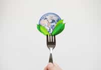 Manger écolo, c'est prendre soin de sa santé et par conséquent de l'économie de son système de santé. © SasinParaksa, Adobe Stock