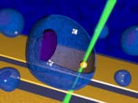 Une vue d'artiste de deux nanothermomètres en diamant dans une cellule. Une nanoparticule d'or est chauffée par un rayon laser (en vert). Ces nanothermomètres devraient devenir des outils précieux pour les biochimistes et les « nanomédecins », par exemple pour progresser dans la lutte contre les cancers. © Georg Kucsko