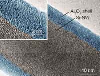 Cette image prise avec un microscope électronique montre un nanofilament de silicium entouré d'une coque protectrice. Composée d'alumine, elle est visible en fausse couleur bleue. Des nanofilaments identiques ont été synthétisés par des chercheurs de l'université Harvard cherchant à améliorer les dispositifs nanoélectroniques pour des applications biomédicales. © Lieber Research Group, université Harvard