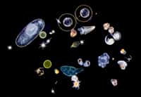 Le plancton est l'ensemble des organismes aquatiques qui dérivent avec les courants. On y trouve des petites algues, des animaux (comme les méduses, qui peuvent être de grandes tailles), des larves, des unicellulaires et des micro-organismes. Son importance écologique à l'échelle planétaire est très grande et il nous reste beaucoup à apprendre sur lui… © Christian Sardet, Tara Oceans, CNRS Photothèque