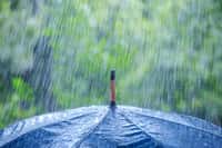 La météorologie permet de prévoir les fortes pluies comme celle-ci. © ivan kmit, Adobe Stock.