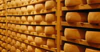 Le fromage est-il sensible à la musique ? © Béatrice Prève, Fotolia