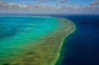 Représentant moins de 0,1 % de la surface des océans, les récifs coralliens comme celui de la Grande Barrière de corail australienne abritent environ un quart des espèces marines. L’acidification des océans menace de les mettre en péril d’ici 2050. © Pete Niesen, Shutterstock.com