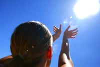 Contenu dans certains aliments, le bêtacarotène ne protège pas des rayons ultraviolets du soleil. En accélérant la synthèse de mélanine, il permet cependant de bien bronzer. © Phovoir