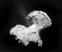 L’astronome amateur Bob King a assemblé quatre clichés pris par la caméra de navigation (NavCam) de Rosetta, le 2 septembre dernier alors que la sonde spatiale n’était qu’à 56 km de la surface du noyau de 67P/C-G. Le travail de l’image fait ici davantage ressortir le faisceau diffus de gaz émis par la comète. © Esa, Rosetta, Navcam, Bob King