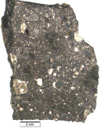 Fragment de la météorite NWA 7034 surnommée Black beauty, retrouvée en 2011 dans le désert marocain. Elle se compose de différentes roches brisées probablement par de violents impacts puis cimentées ensemble. © Brown University