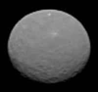 Voici Cérès comme on ne l’avait jamais vue auparavant. La sonde spatiale Dawn a photographié la planète naine (950 km de diamètre), le 4 février 2015 à seulement 145.000 km de sa surface. La résolution est de 14 km/pixel. Cliquez ici pour voir l'animation. © Nasa, JPL-Caltech, Ucla, MPS, DLR, IDA