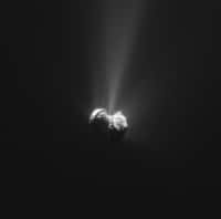 Le noyau de Tchouri photographié avec la NavCam de Rosetta, le 21 septembre 2015 à 330&nbsp;km du centre de la comète. La récente étude sur le cycle de l’eau a été réalisée à partir des observations, accomplies un an plus tôt, de la région Hapi, sur le cou de la comète. Sur cette image prise un mois et une semaine après le périhélie, on peut observer de nombreux jets émis depuis cette région qui relie les deux lobes caractéristiques de cet astre escorté depuis plus d’un an par la sonde Rosetta. © Esa, Rosetta, NavCam – CC BY-SA IGO 3.0