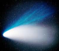 Les comètes à longue période comme ici Hale-Bopp peuvent avoir été volées par notre Soleil à d’autres systèmes planétaires. Elles représentent de très bons vecteurs de transport de « graines » de vie d’un monde à l’autre et pourraient valider l'hypothèse de la panspermie. © Herman Mikuz, B. Kambic (Crni Vhr Observatory, Slovénie)