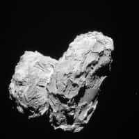 Le noyau bilobé de Tchouri photographié par la NavCam de Rosetta le 22 août 2014, à 63,4 km du centre de la comète. © Esa, Rosetta, Navcam, CC by-sa igo 3.0