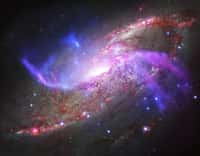 Portrait composite de la galaxie Messier 106 (ou NGC 4258), distante de seulement 23,5 millions d’années-lumière de nous. Les images proviennent des télescopes spatiaux Spitzer, Herschel, Hubble et Chandra, sensibles respectivement à l'infrarouge (rouge sur l'image), le visible (jaune et bleu) et le domaine X (bleu), et des données radio (pourpre) collectées avec le VLA. Ce cumul cartographie en détail les extensions de gaz chauds sous l’influence des ondes de choc des puissants jets émis par le trou noir supermassif tapi au cœur de cette galaxie spirale. © Nasa, CXC, JPL-Caltech, STScI, NSF, NRAO, VLA