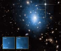 Une image composite de l'amas de galaxies Abell 1795 montre en bleu ses émissions de rayons X vues par Chandra et surimposées à celles dans le visible observées par le télescope Canada-France-Hawaï. En bas à gauche, les observations de Chandra montrent une galaxie naine dans laquelle une source brillante de rayons X est bien visible avant 2005, mais cesse de l'être après. Il s'agirait des émissions du disque d'accrétion d'un trou noir intermédiaire ayant disloqué une étoile et avalant son gaz. © Pour les images en rayons X : Nasa, CXC, University of Alabama, W. P. Maksym et al., CXC, GSFC, UMD, D. Donato et al. ; pour les images d’Abell 1795 dans le visible : CFHT