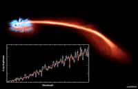 Une vue d'artiste de la destruction d'une étoile par un trou noir. Le plasma de l'étoile (rouge) est étiré par les forces de marée du trou noir et il finit par former un disque d'accrétion chauffé et émettant dans le domaine des rayons X (bleu). On peut alors observer une courbe de luminosité (brightness) caractéristique de ce phénomène et qui dépend de la longueur d'onde (wavelength) des rayons X émis. © Nasa,&nbsp;CXC, M. Weiss
