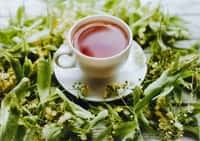 L’acide protocatéchique, un métabolite présent dans le thé vert. © shchus, Adobe Stock