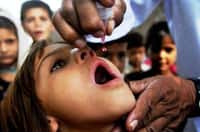 Une campagne de vaccination en Afghanistan, le 18 août 2014. © AFP PHOTO, Noorullah SHIRZADA