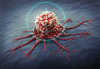 La femme de 36 ans a déjà développé douze tumeurs de différents types, dont au moins cinq étaient malignes. © peterschreiber.media, Adobe Stock