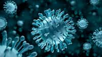 Quelles sont les différences entre bactéries et virus ?