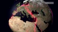 Un an de migrations animales sur la planète : étonnant...