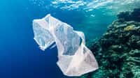 Suivez l’épopée étonnante du plastique dans l’océan