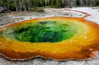 La question de l'origine de la photosynthèse est compliquée par le fait que les premiers organismes photosynthétiques ne dégageaient probablement pas d'oxygène. Les bactéries sulfureuses vertes de cette vasque de Yellowstone, aux États-Unis, effectuent une photosynthèse anoxygénique. © MIT
