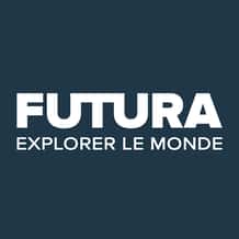 French Days 2024 : découvrez comment obtenir Microsoft Office 2021 et Windows 11 à vie