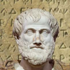  Aristote