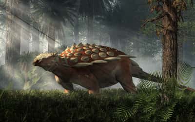 Les ankylosauridés étaient des dinosaures quadrupèdes cuirassés se nourrissant de végétaux. Ils sont particulièrement célèbres pour leur queue armée d'une masse. Rendu 3D d'un paisible ankylosaure au milieu d'une clairière. © Daniel Eskridge