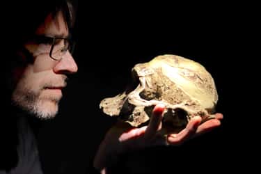 D'Australopithèque à Homo sapiens, l'évolution de la lignée humaine a été gouvernée par les contraintes climatiques et la concurrence entre les différentes espèces. © Ivan, Adobe Stock