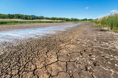 Les sols sont encore assez humides en cette fin mai au nord de la France, mais la situation va se dégrader si le blocage anticyclonique persiste. © Alexey Slyusarenko, Adobe Stock
