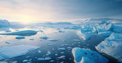 Durant le Miocène, la calotte glaciaire Antarctique aurait connu des cycles de croissance-fonte bien plus rapides qu'on ne le pensait. © Katynn, Adobe Stock