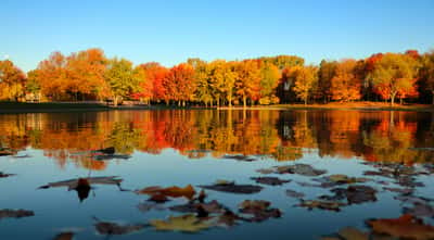 L'été indien au Canada est différent en France. © Alban, Adobe Stock