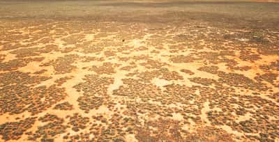 Une étrange cicatrice a été identifiée grâce à Google Earth dans la plaine désertique de Nullarbor, en Australie. © totajla, Adobe Stock