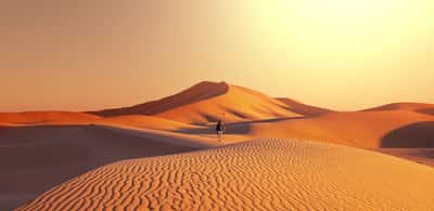 Arrakis ? Non, nous sommes bien sur Terre, dans le désert de Namib. © Galyna Andrushko, Adobe Stock