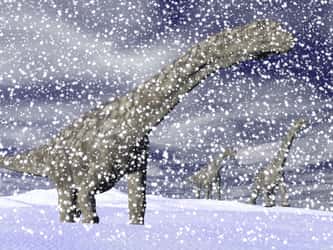 Des dinosaures prospéraient dans des régions de grand froid, mais à quoi ressemblaient-ils&nbsp;? © Elenarts, Adobe Stock