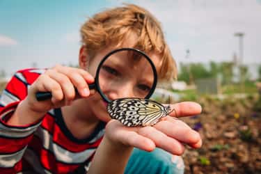 Il existe de nombreuses activités pour découvrir et apprendre l’écologie aux enfants. © nadezhda1906, Adobe Stock