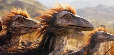Les oiseaux, descendant des dinosaures, seraient apparus dans l'évolution bien plus tôt que ce que l'on pensait auparavant. © Adobe Stock