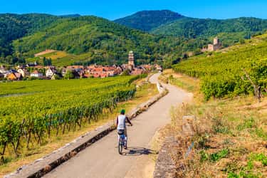 Circuler à vélo sur les routes des vins d'Alsace est aujourd'hui chose aisée avec le développement des infrastructures dédiées aux cyclistes. © Pkazmierczak, Adobe Stock
