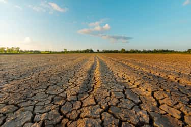 Une sécheresse éclair a complètement desséché les sols de la moitié nord de la France en l'espace de 2 à 3 semaines. © neenawat555, Adobe Stock