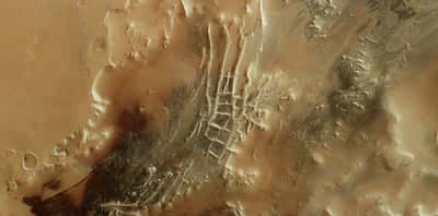 Mars Express voit des traces d'« araignées » dans la cité inca de Mars. © ESA, DLR, FU Berlin